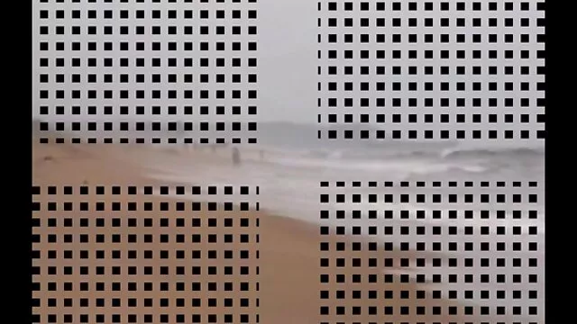 Europeus nervosos a mijar vídeo pornô de cavalo e mulher nos subúrbios