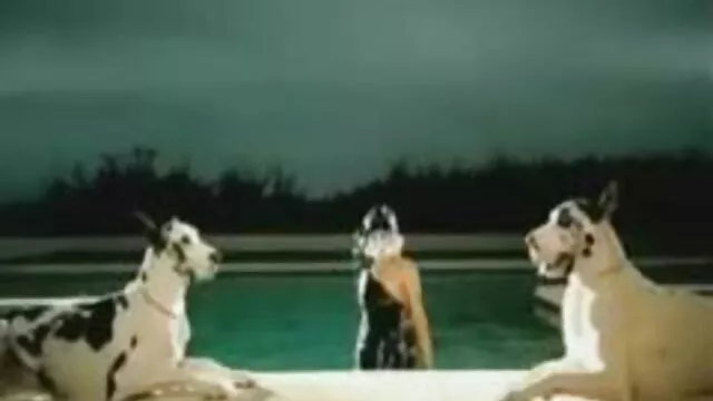 Aparador louco vídeo pornô grátis mulher com mulher